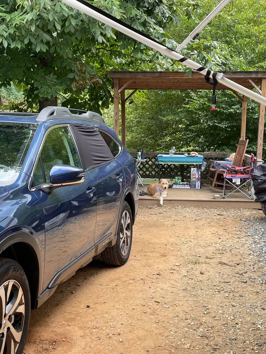 A blue SUV is parked on a dirt driveway next to a wooden deck with a roof. On the deck, a small dog stands, looking towards the camera. The deck has various items, including a table with supplies, a colorful chair, and outdoor equipment. Trees surround the area.