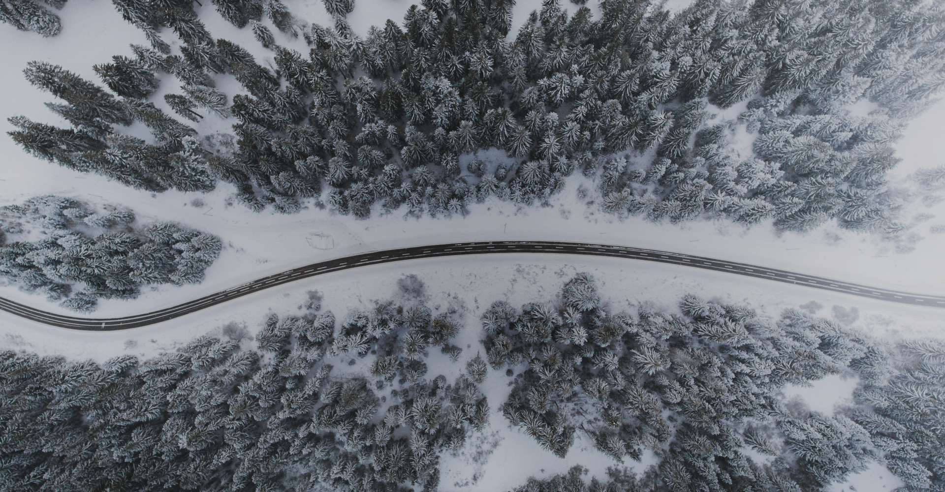 Aerial view of a snow-covered forest with dense evergreen trees on both sides of a winding road. The road cuts through the wintry landscape, creating a striking contrast with the white snow and dark trees.