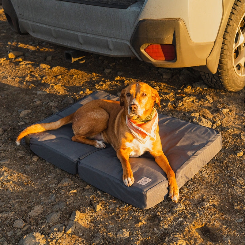 A brown dog with a white chest and red bandana relaxes on a Pet Bed beside the back of a parked car on rocky ground, enjoying the warm sunlight.