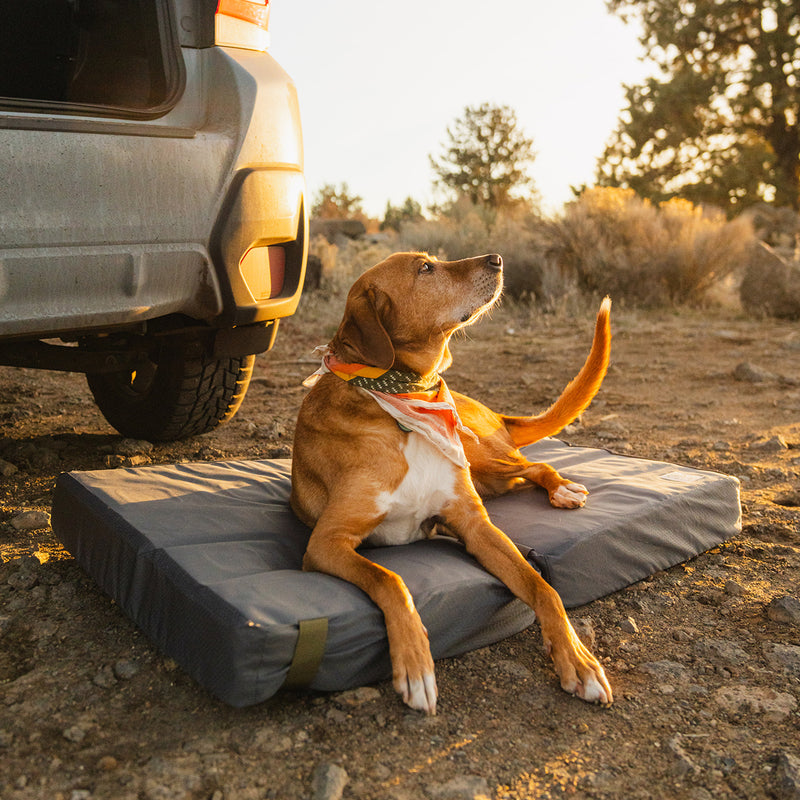 A brown dog wearing a bandana lies on a Pet Bed beside a car at sunset, outdoors on rocky ground with trees and shrubs in the background.