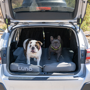 Two dogs, a bulldog and a French bulldog, are sitting on a grey Luno bed in the open trunk of a car. The car is parked outdoors, and the dogs appear content and ready for an adventure.