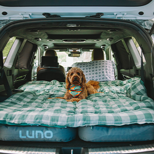 A brown dog lies on a green and white checkered blanket in the back of an SUV. The SUV's trunk door is open, revealing a spacious setup with a LUNO air mattress. The dog is looking forward, with its paws on a colorful toy.