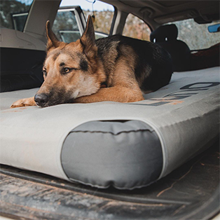 Fitted Sheet mmsubaru