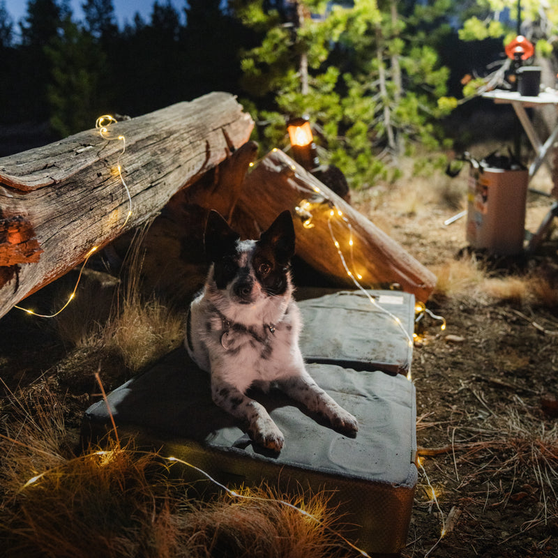A black and white dog relaxes outdoors at night on a gray upcycled Pet Bed, surrounded by string lights, logs, camping gear, and pine trees under the dark sky.