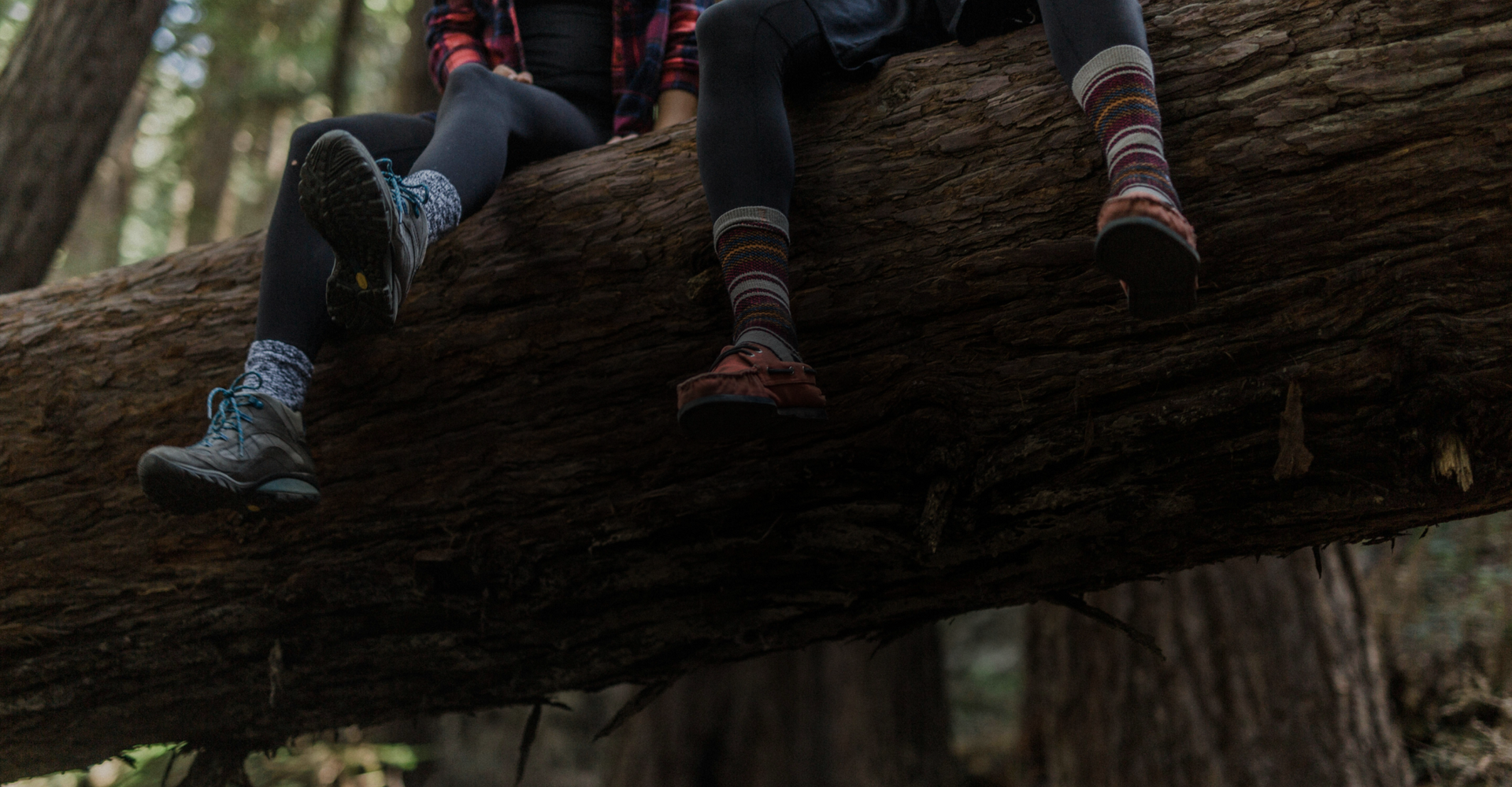 Two people in casual outdoor clothing sit on a large fallen log in a forest. Their legs dangle off the log, showing hiking boots and colorful socks. The background is filled with blurred trees and natural woodland scenery.