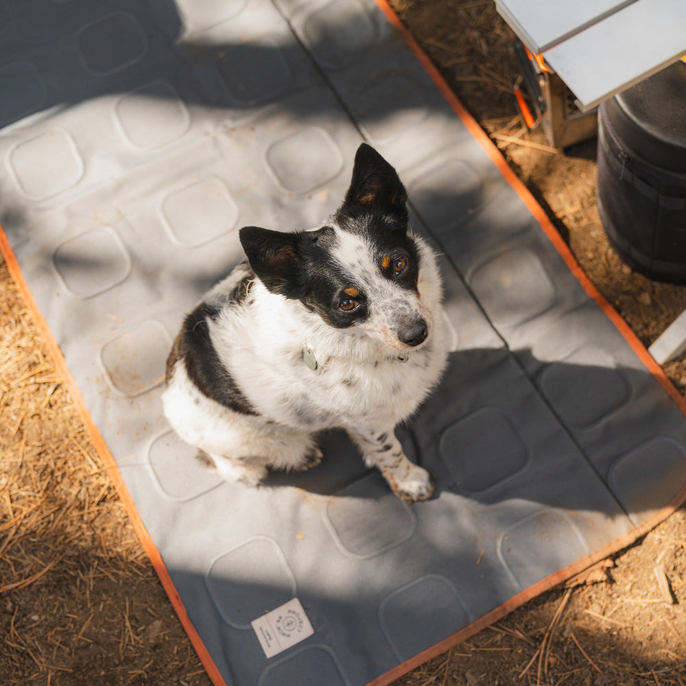 image 7 of Large Outdoor Ground Mat