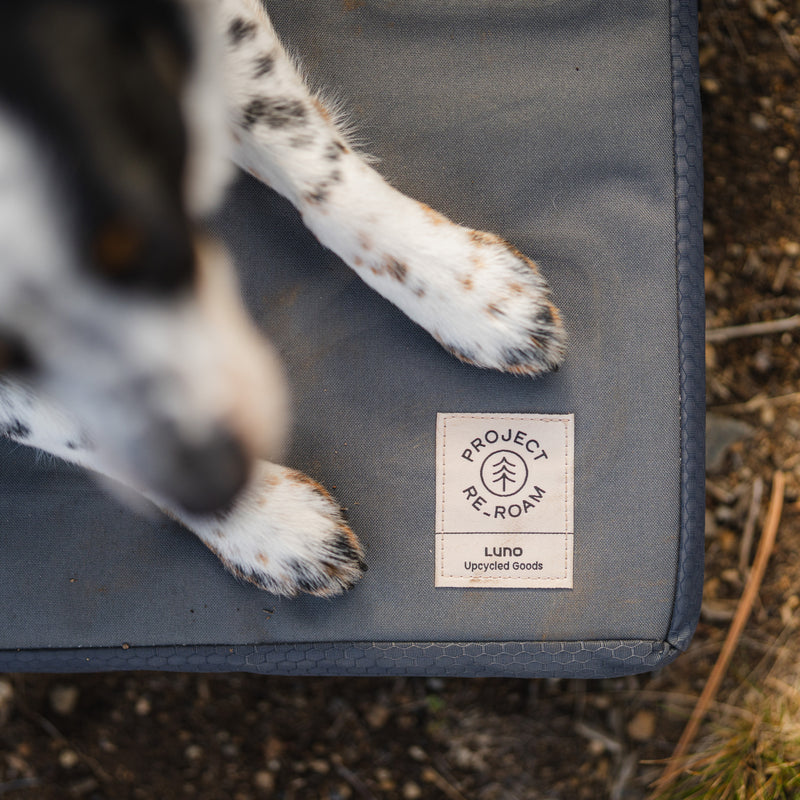 A close-up shows a black and white dog’s front legs resting on the Pet Bed. A patch reads, PROJECT RE-ROAM, Luna, Upcycled Goods. This durable upcycled Pet Bed sits on the floor with the ground visible beside it.
