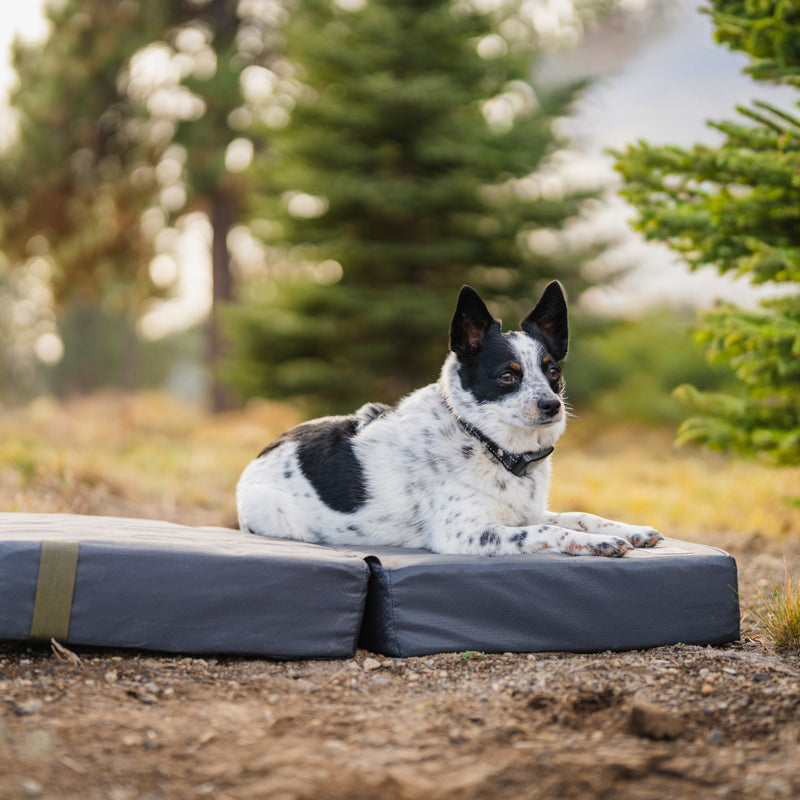 A black and white dog is lying on a Pet Bed placed on a gray outdoor mat in a forested area, surrounded by green pine trees and natural scenery.