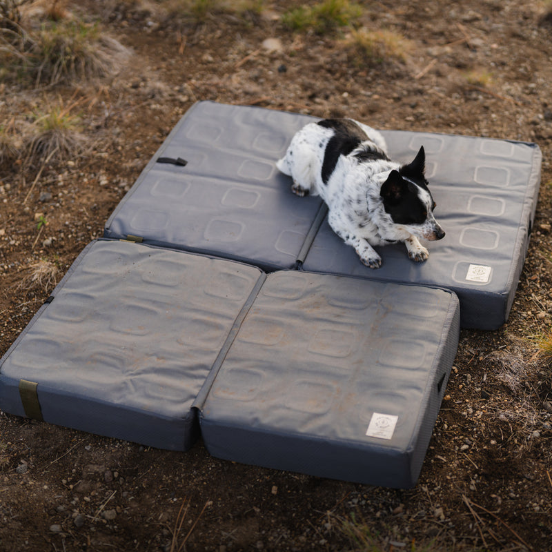 A small black and white dog rests on a gray Pet Bed set on dry, rocky ground outdoors.
