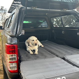 A yellow labrador retriever lies comfortably on a padded surface inside the open bed of a gray pickup truck, which is equipped with a canopy. The dog looks relaxed and is facing towards the tailgate, with trees visible in the background.