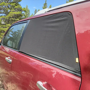 Window Screens Channing