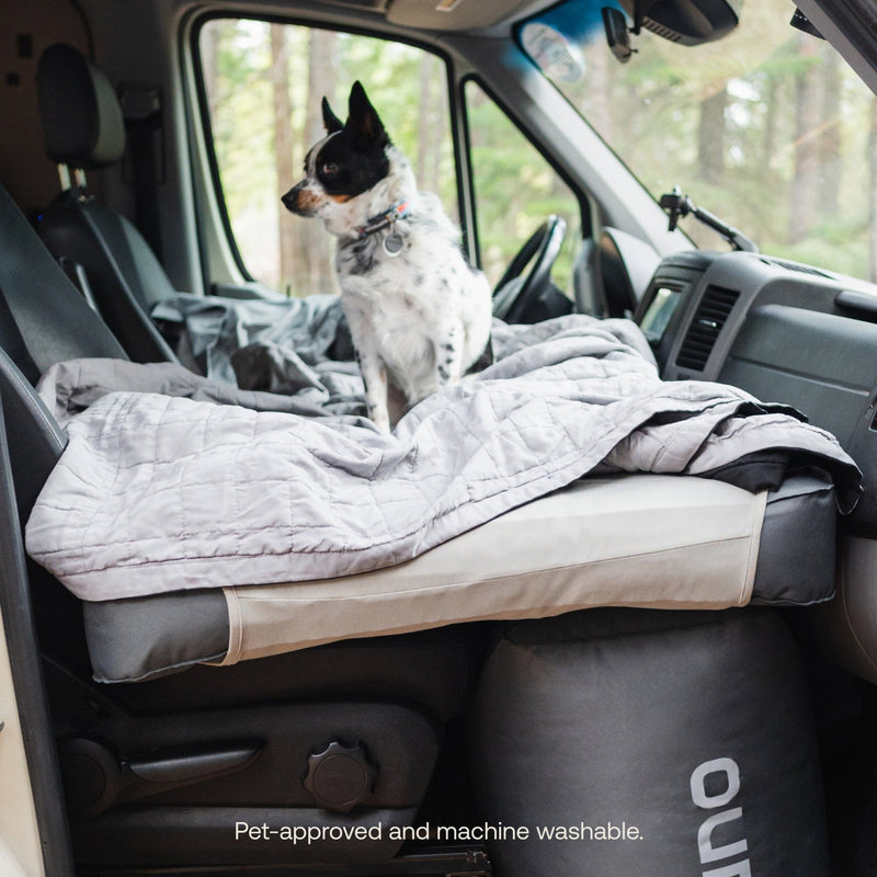 A small, black and white dog sits on a quilted gray seat cover inside a vehicle's front seat. The pet-friendly cover looks brand new and is machine washable, with trees visible through the windows. This comfort comes courtesy of the AIR Van Front Cab Mattress Fitted Sheet from Luno HQ.