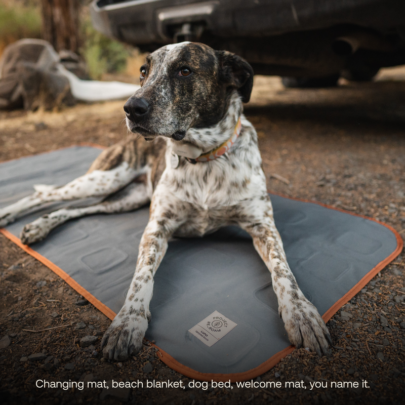 A spotted dog lies on a Large Outdoor Ground Mat with a grey color and orange trim, spread out on a gravel surface near a vehicle. The text at the bottom reads, "Changing mat, beach blanket, dog bed, welcome mat—you name it—our durable multi-purpose mat made from upcycled mattresses by Luno HQ.”