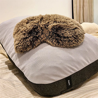 pillow2