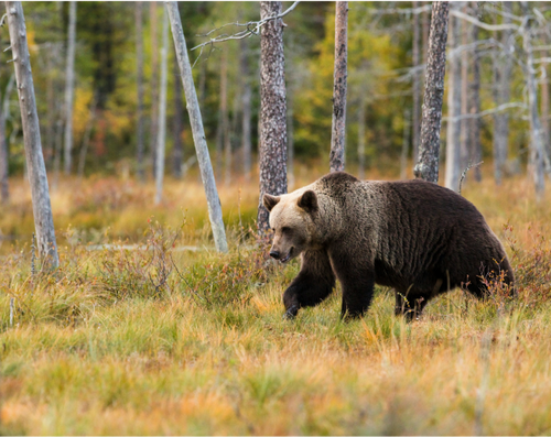 Journal Thumbnail   Read 2 f612fefc 7355 49bf 8f73 6121b34f23bf