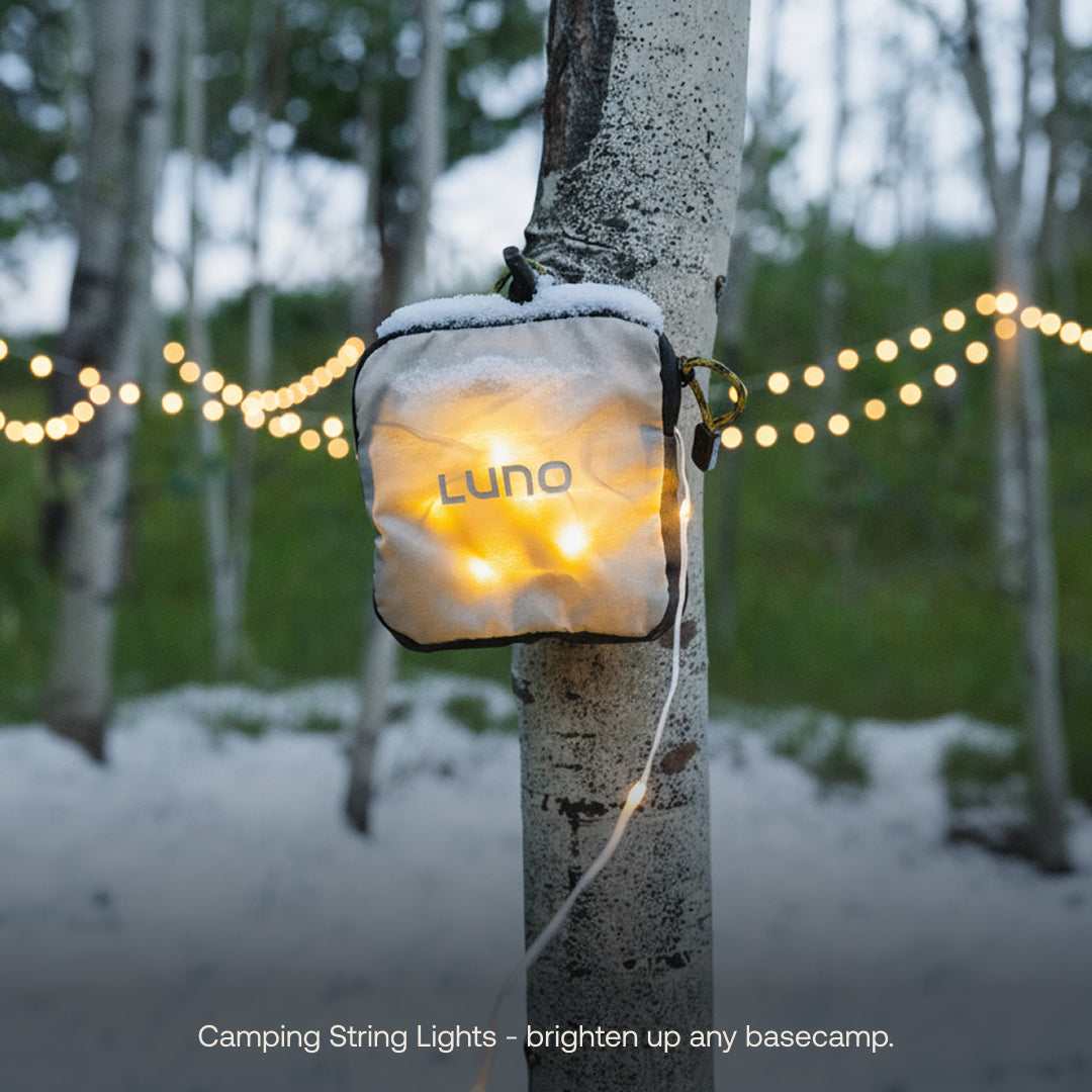 image number 5 of 10
