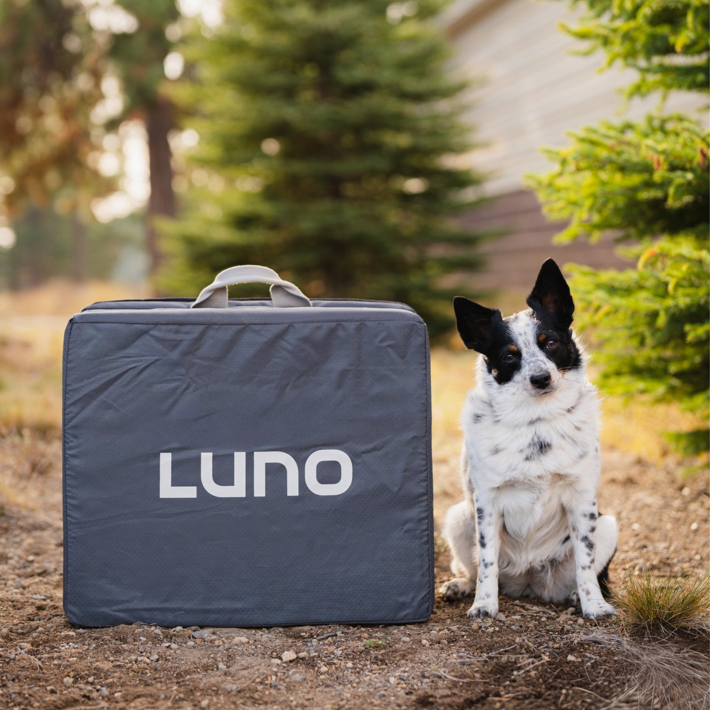 image number 12 of 13
