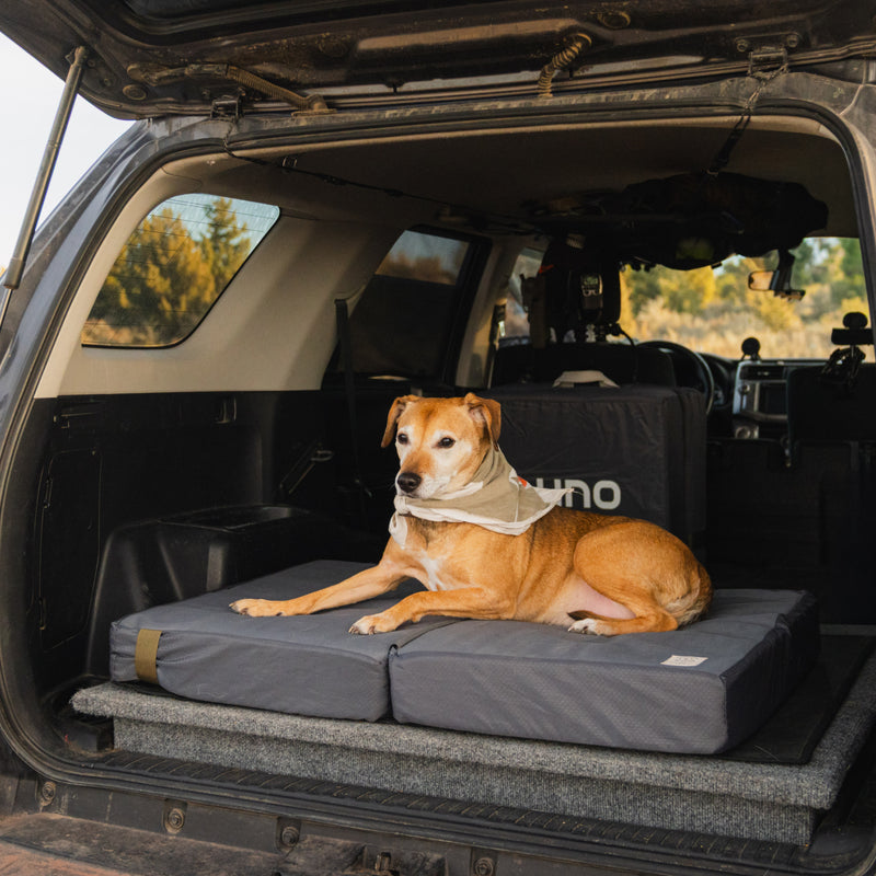 A brown dog wearing a light-colored scarf relaxes on a cushioned Pet Bed in the back of an SUV parked outdoors, with trees in the background.