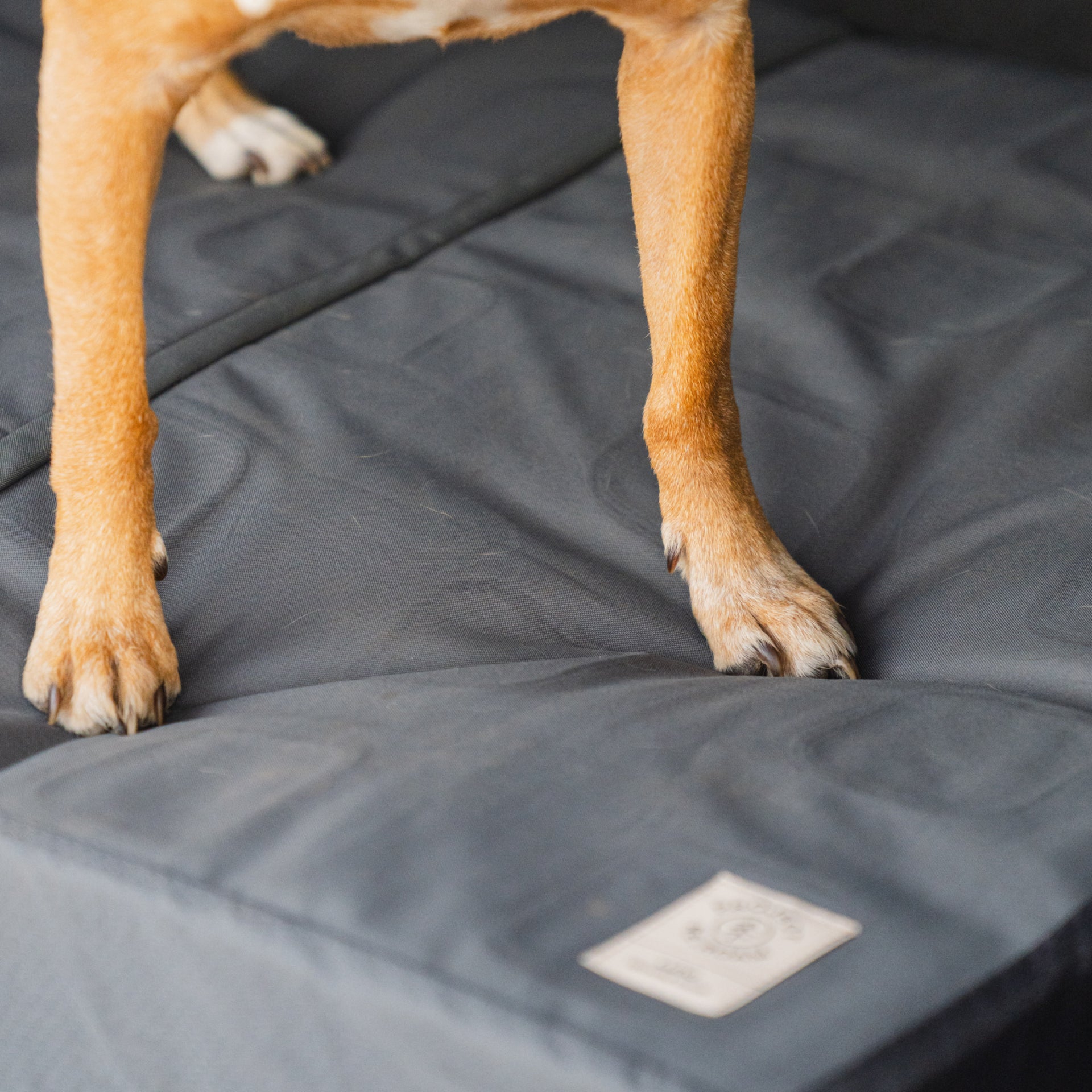 image 8 of Pet Bed