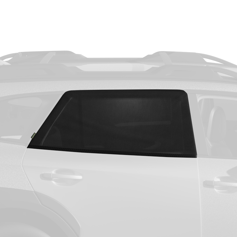 car window screen render