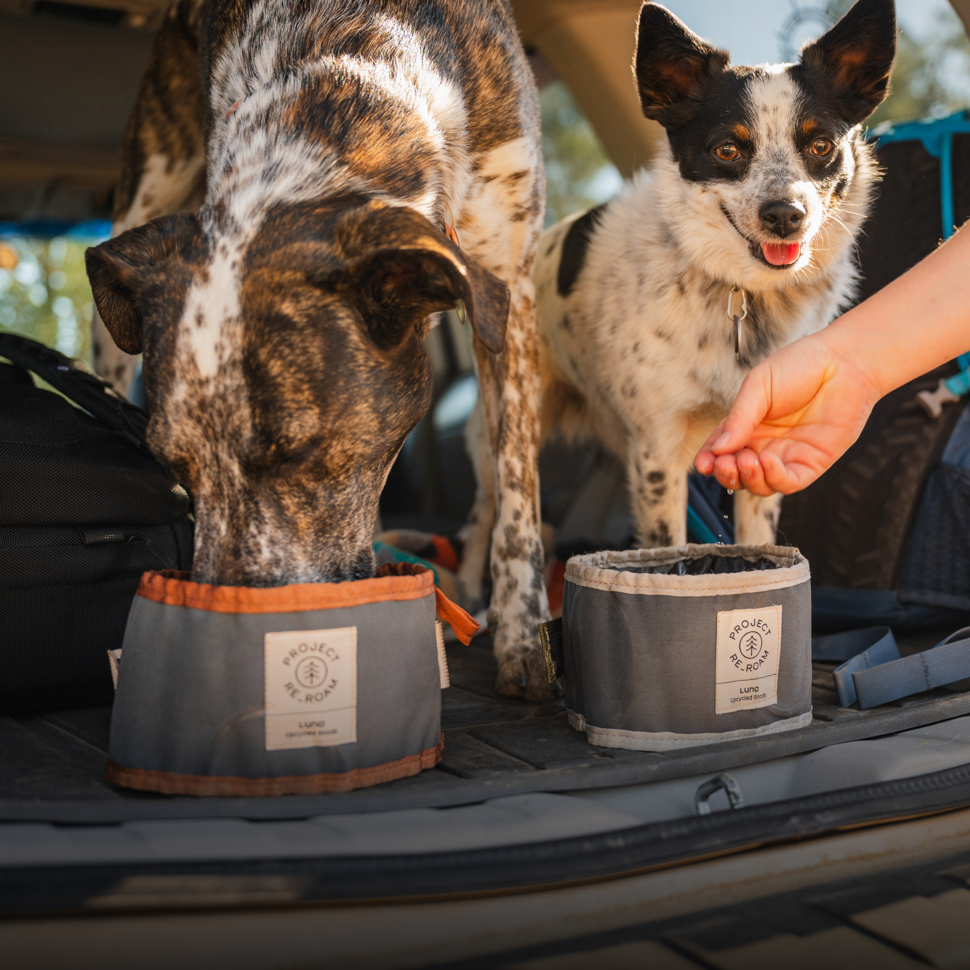 image 5 of Collapsible Dog Bowl