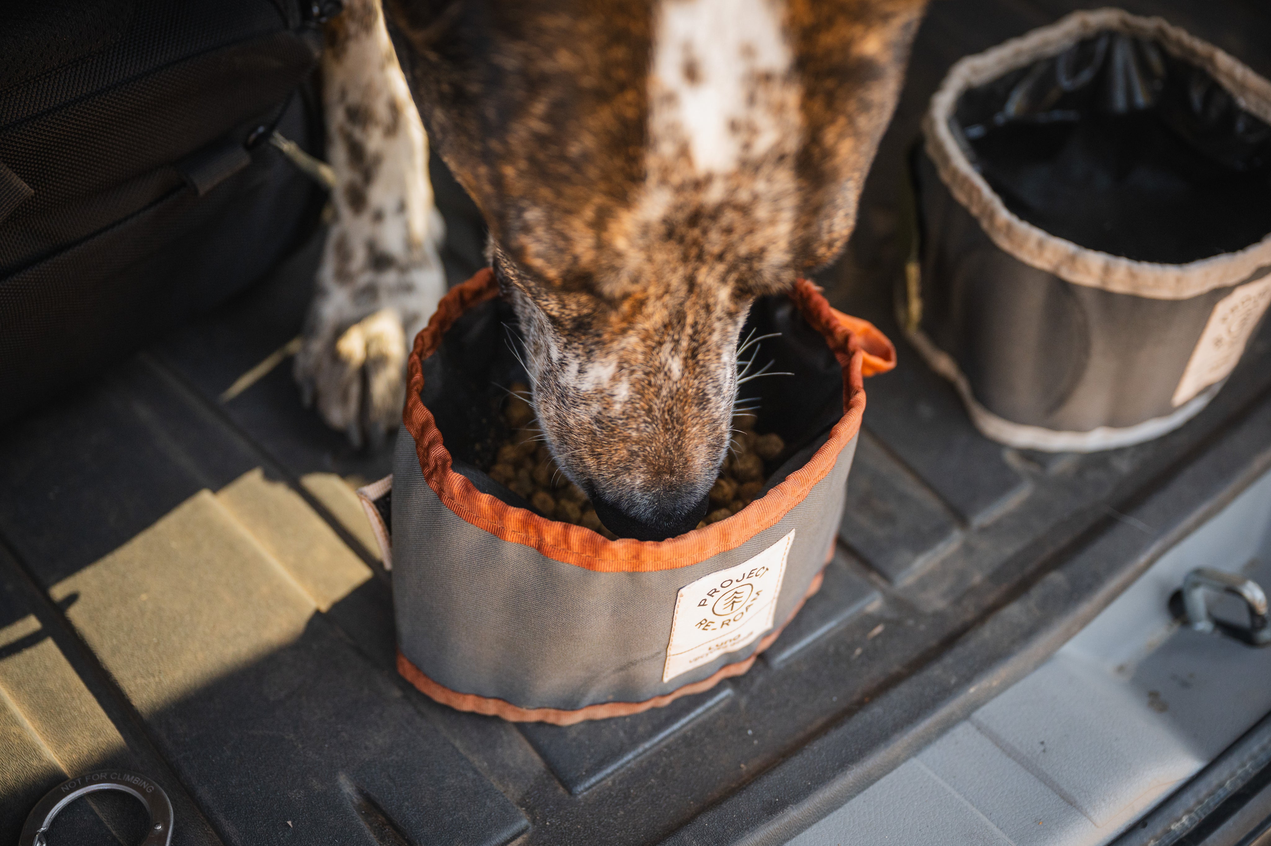 Collapsible Dog Bowl Luno