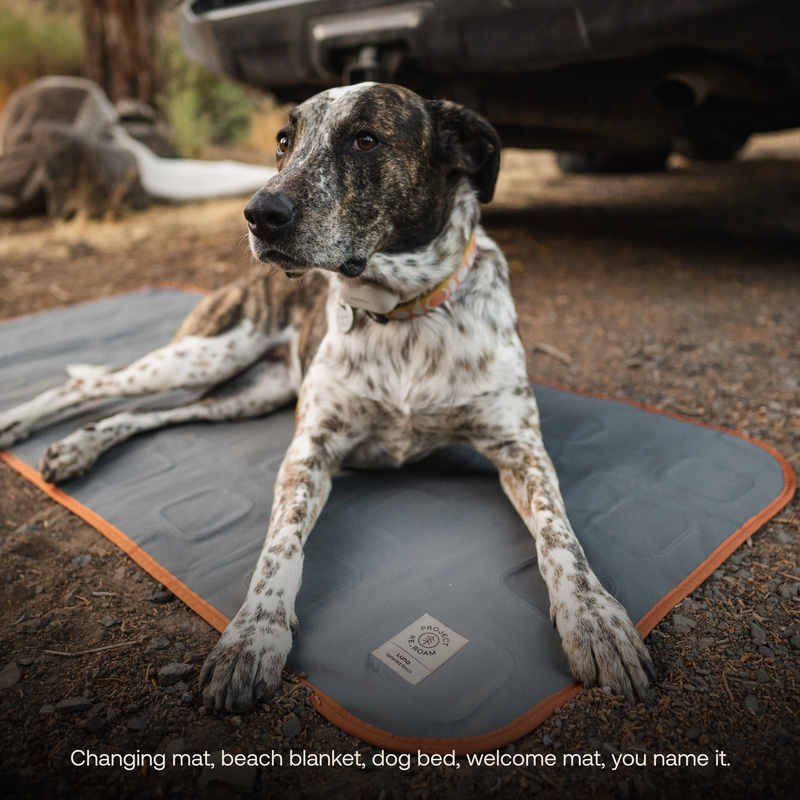 image 3 of Large Outdoor Ground Mat