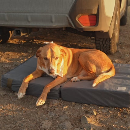 8e5323e714904c2b8d13bf83fb72958b.thumbnail.0000000000