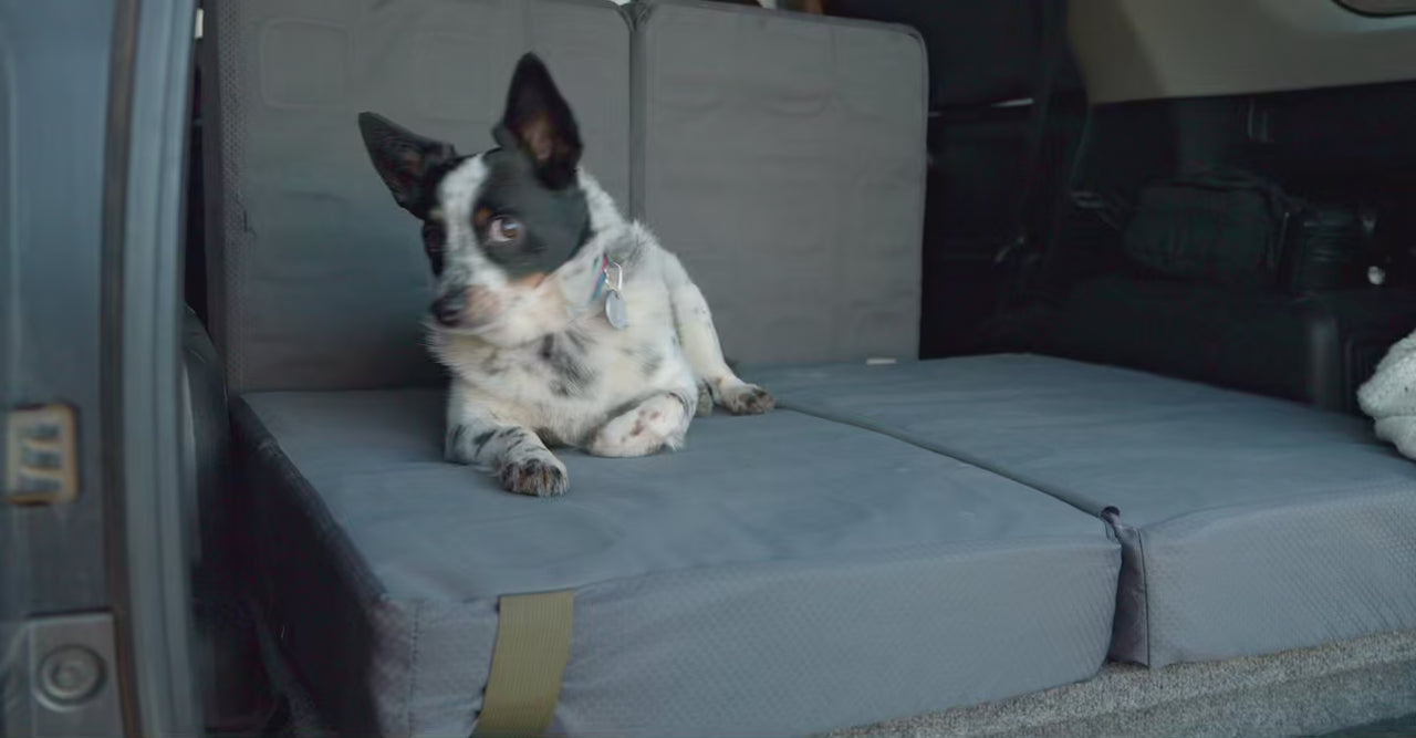 9b9a68dec18a4e8185ac44fa91a37bde.thumbnail.0000000000