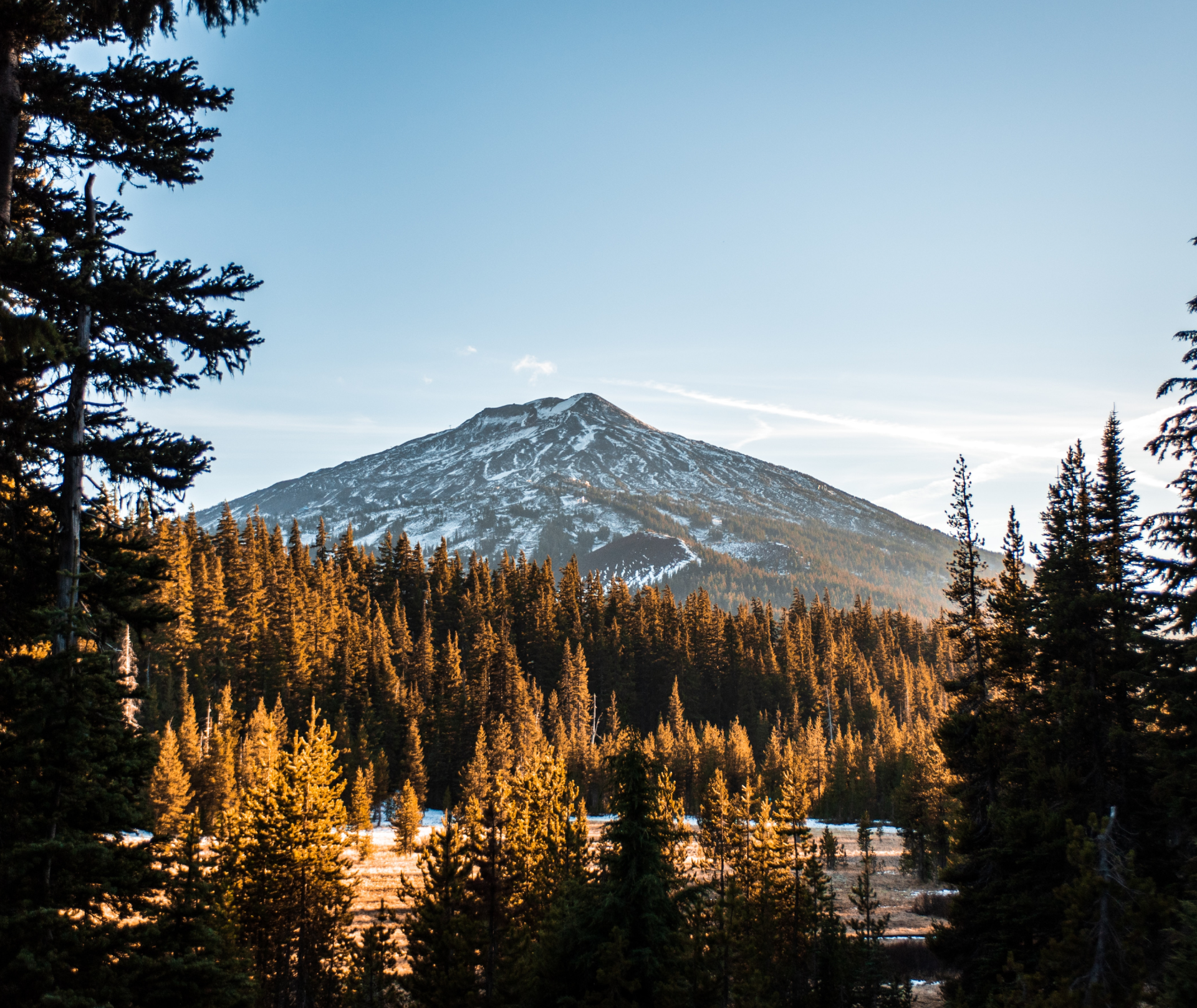 A scenic view of a mountain covered in patches of snow, surrounded by a dense forest of pine trees. Warm sunlight illuminates the tops of the trees, and the sky above is clear and blue with a soft, golden light suggesting early morning or late afternoon.